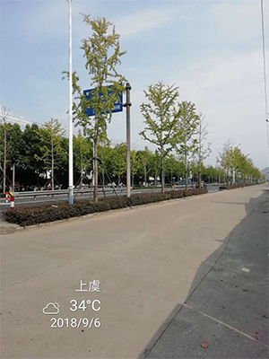 1555654051596812.jpg 圖片25x.jpg