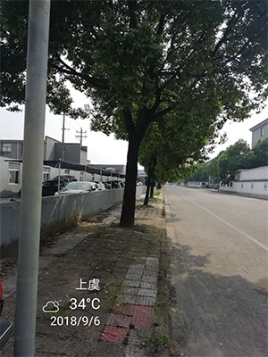 1555654102974129.jpg 圖片28x.jpg