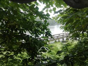 1555656014605151.png 圖片48.png