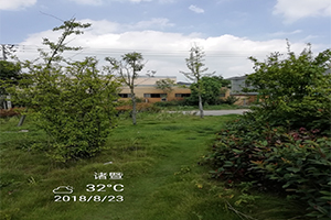 1559550313922674.jpg 圖片46d.jpg