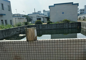 1562547114792054.jpg 圖片2x.jpg