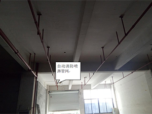 1565160702871421.jpg 圖片17x.jpg