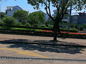 1565161897439727.jpg 圖片43x.jpg