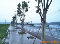GZ【S】新2020-015新昌新和成維生素有限公司預(yù)評(píng)價(jià)網(wǎng)上信息公開表778.png