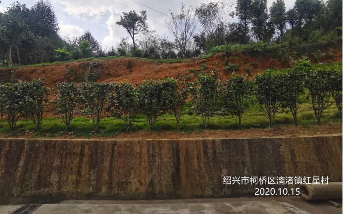 GZ【X】柯2020-024紹興柯橋亮劍機(jī)械有限公司高溫熔融作業(yè)專項(xiàng)安全現(xiàn)狀評價網(wǎng)上信息公開表1056.jpg