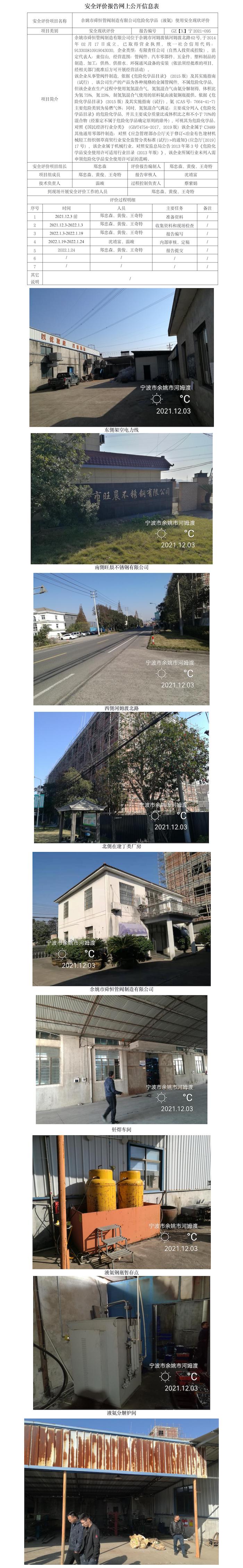 GZ【X】寧2021-095余姚市舜恒管閥制造有限公司危險(xiǎn)化學(xué)品（液氨）使用安全現(xiàn)狀評(píng)價(jià)報(bào)告網(wǎng)上公開(kāi)信息表.jpg