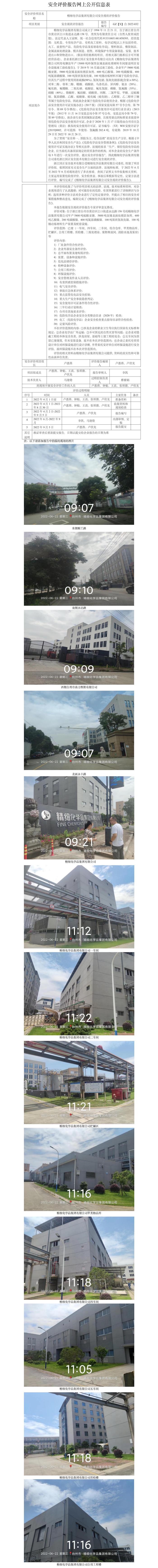 GZ【X】臺2022-032精細化學(xué)品集團有限公司安全現(xiàn)狀評價報告 網(wǎng)上公開信息表.jpg