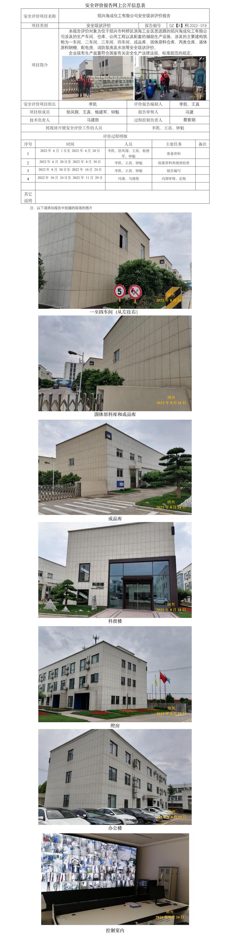 GZ【X】柯2022-018紹興海成化工有限公司安全現(xiàn)狀評價報告  網(wǎng)上公開信息表.jpg
