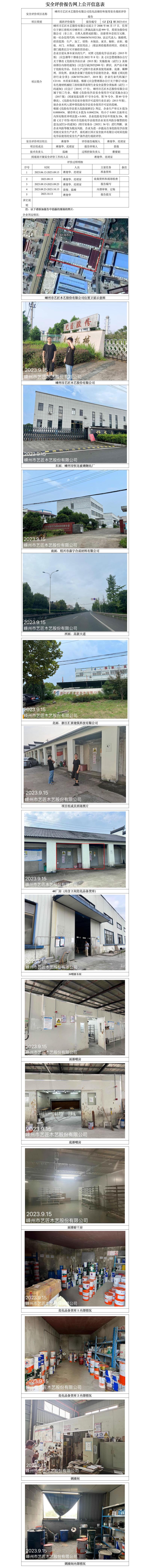 GZ【X】嵊2023-014嵊州市藝匠木藝股份有限公司危化品儲存和使用安全現(xiàn)狀評價報告 網(wǎng)上公開信息表(1).jpg